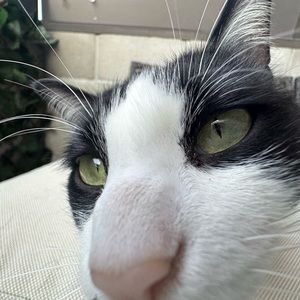 Meet your Posher, Hayley